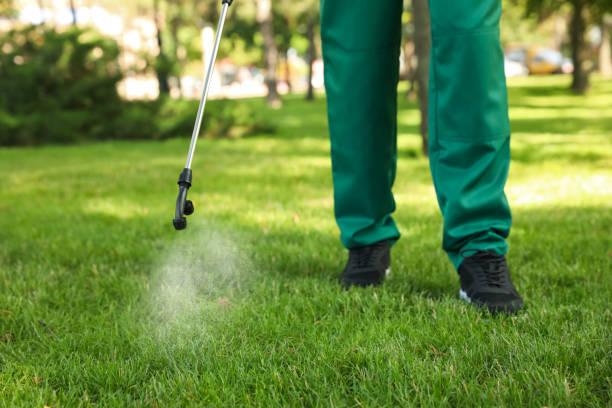 Professional Pest Control in Saratoga Springs, UT