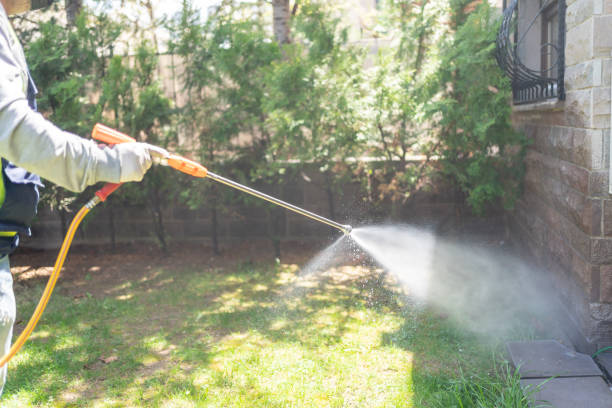 Best Insect Control  in Saratoga Springs, UT