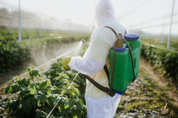 Best Flea Control Services  in Saratoga Springs, UT
